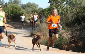 COMENÇA EL 2n. CIRCUIT DE CANICROSS DE LES TTEE